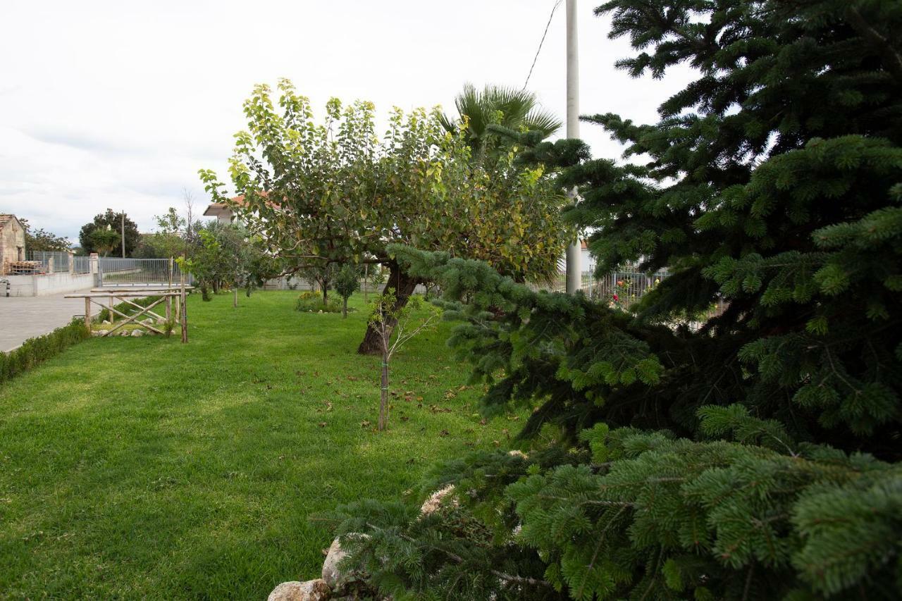 Apartament La Casa Del Gelso Fiorito Eboli Zewnętrze zdjęcie